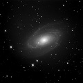 M81