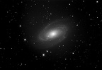 M81