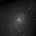 M33