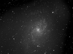 M33