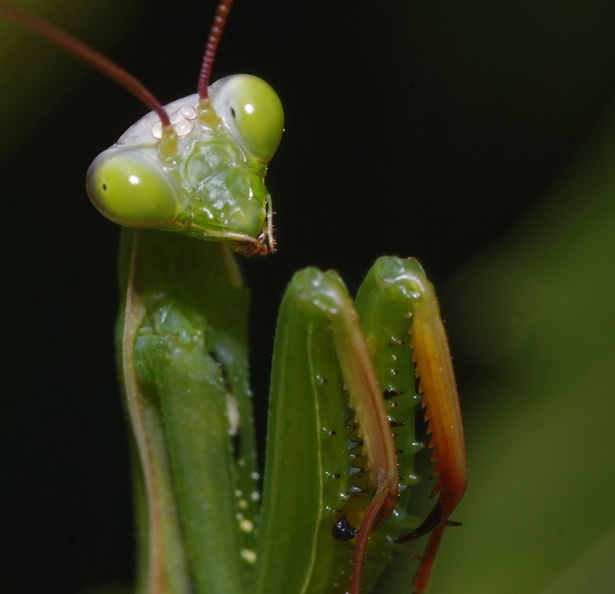 _DSC5559_DxO.jpg